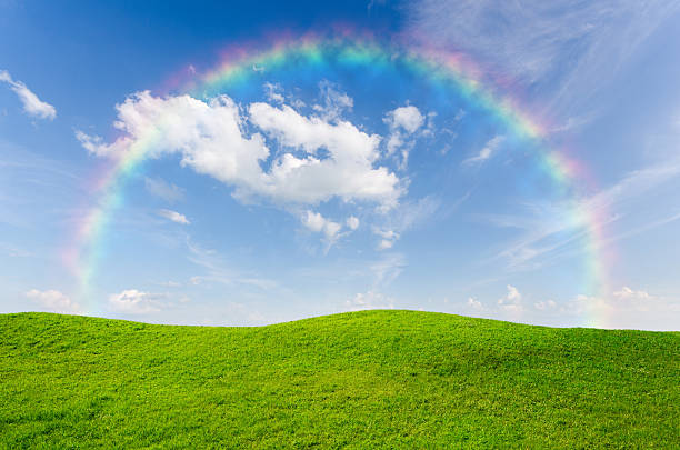 istock Green grass with blue sky and rainbow as background 509119181