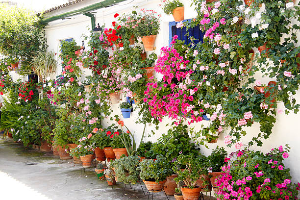 Typical inner court  in Cordoba, Andalusia, Spain.