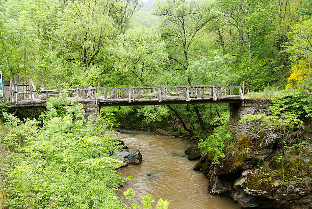 Wooden footbridge near Dorking Surrey England