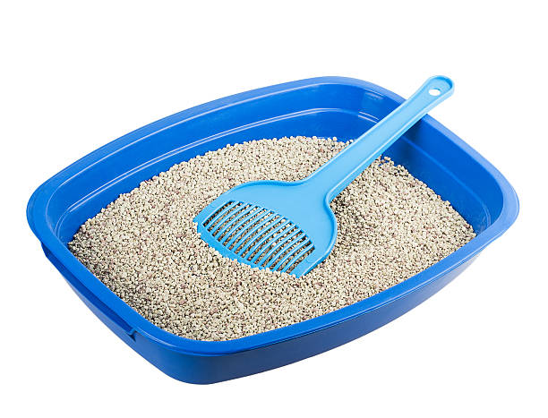 кошачий лоток, наполнитель - litter box box clean shovel стоковые фото и изображения