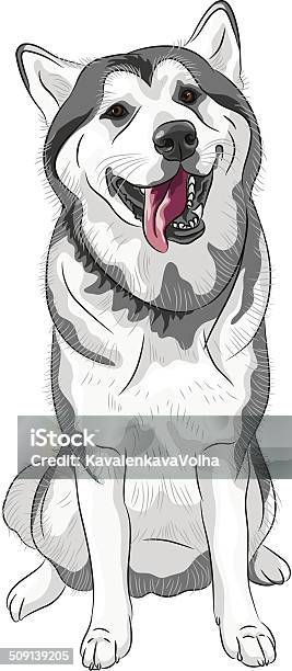 Vector Dog Sled Siberian Husky Breed Sitting And Smiling Stock Illustration - Download Image Now