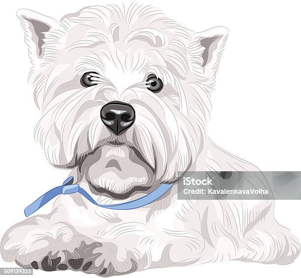 Vector Serious Dog West Highland White Terrier Breed Sitting Stock Illustration - Download Image Now