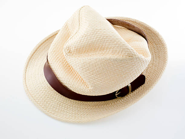 istock rumpled female felt hat isolated on white background 509139809