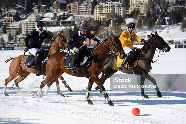 Snow Polo World Cup St Moritz Stock Photo - Download Image Now - Horse, Polo, Sport