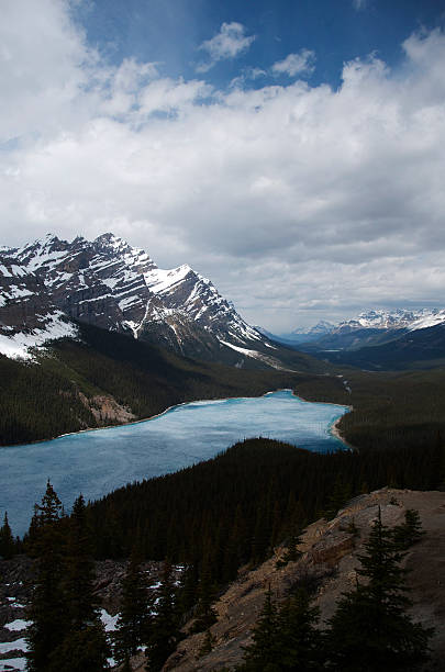 istock Peyto Lake, Banff National Park 509169065
