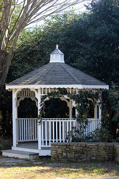 istock White Gazebo in Garden 509169140