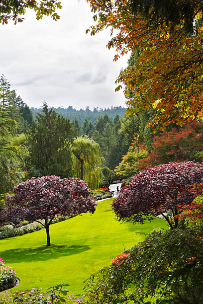 istock Butchard-garden on island Vancouver in Canada 509169169
