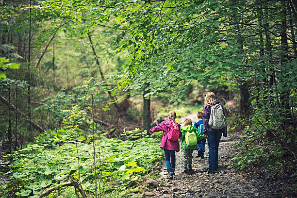 istock Mother and kids hiking in old forest 509169843