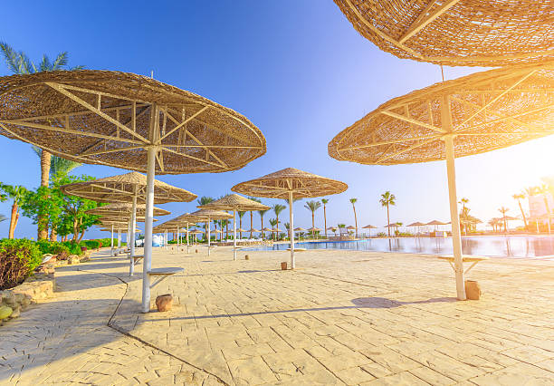 istock The view at beautiful swimming pool, palm trees, sun umbrellas 509170096