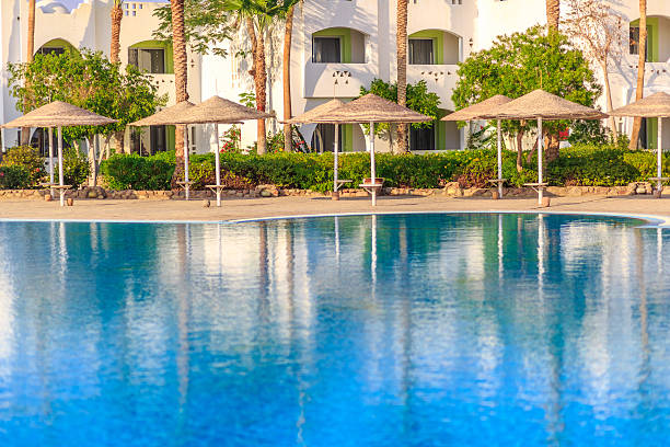 istock Beautiful swimming pool, the luxury hotel and palm trees 509170168