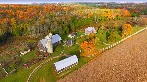 istock Idyllic autumn agricultural landscape. 509170328