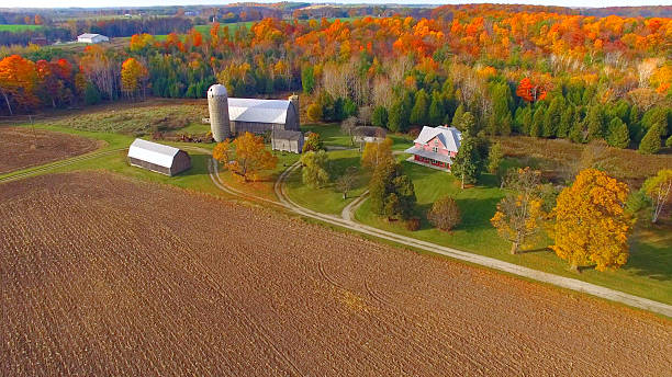 couleurs de l'automne forêt paysage rural, ferme. - batiment agricole photos et images de collection