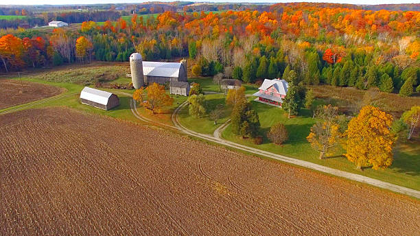 カラフルな秋の田園風景の森林と農場ます。 - house barn residential structure rural scene ストックフォトと画像