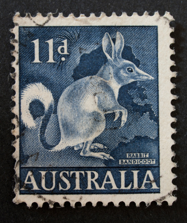 A Cancelled postage stamp from Australia illustrating a rabbit bandicoot , issued in 1961