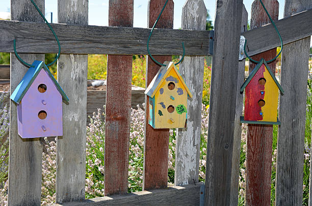 istock Three colorful birdhouses 509171105