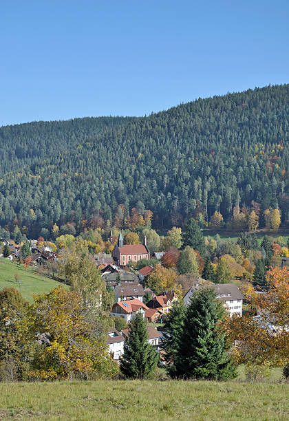 istock Enzkloesterle,Black Forest,Germany 509172889