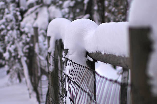 Winter Fence stock photo