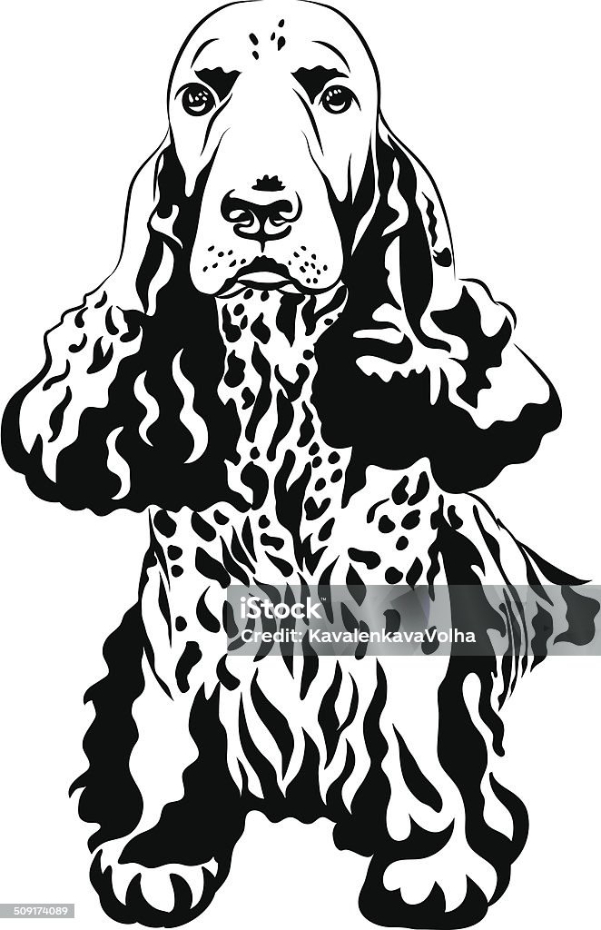black and white sketch gun dog English Cocker Spaniels sitting black and white sketch close-up portrait of a gun dog breed English Cocker Spaniel sitting Animal stock vector