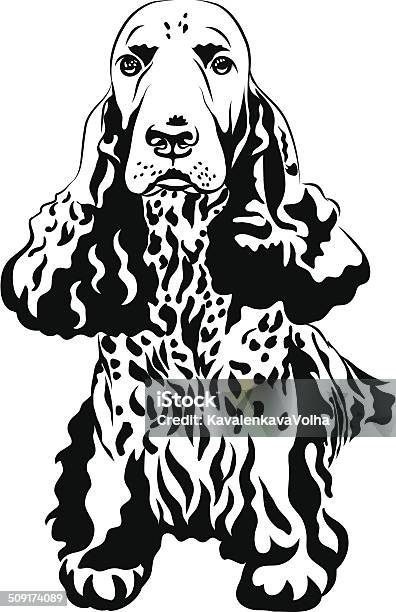 Black And White Sketch Gun Dog English Cocker Spaniels Sitting Stock Illustration - Download Image Now