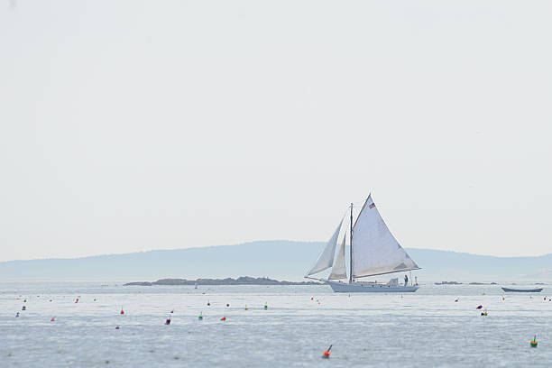 Mount Desert Island, Maine, United States - 3 August 2014: A sailboat makes its way through a harbour filled with lobster buoys in early morning haze.