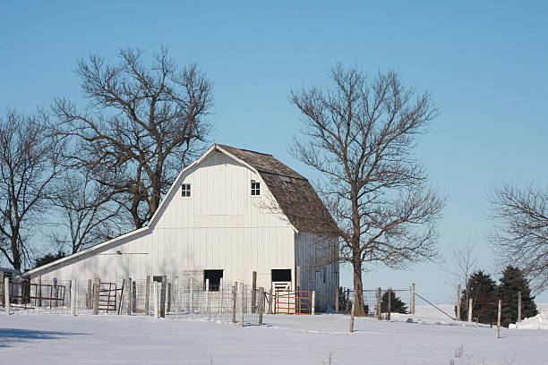 istock White Iowa Barn in Winter 509174966