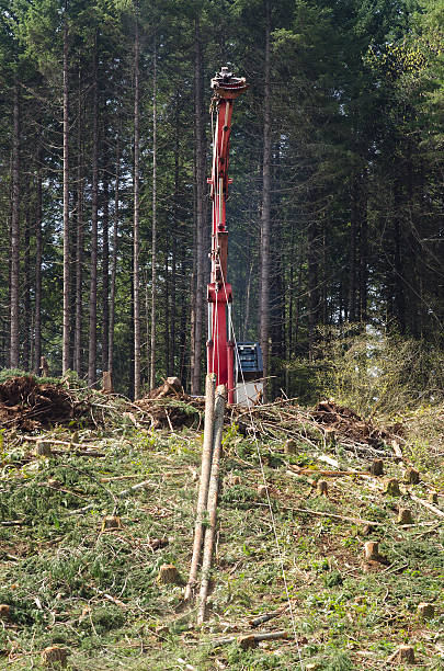 20+ Logging Yarder Stock Photos, Pictures & Royalty-Free Images - iStock