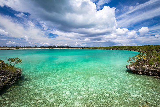 istock Turquoise Bay in the Bahamas 509175620