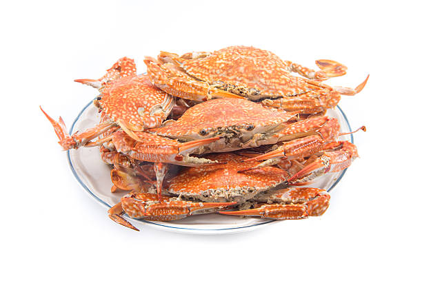 istock many steam crab on one dish 509176503