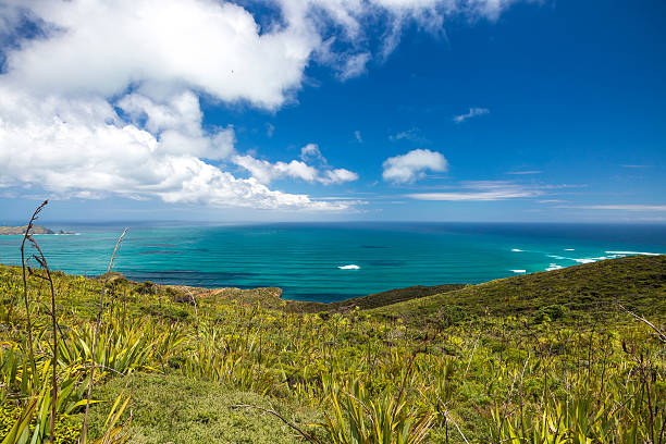 istock New Zealand Coutryside 509176976