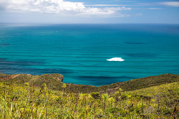 istock New Zealand Coutryside 509177032