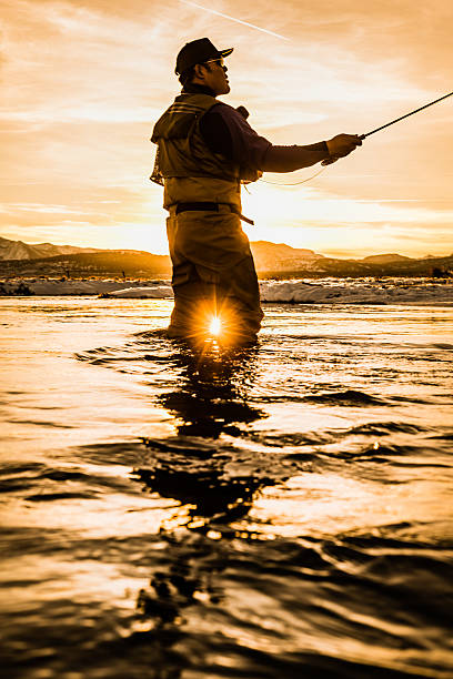 Fly Fisherman High Sticking In The River At Sunset Fly Fisherman High Sticking In The River At Sunset owens river stock pictures, royalty-free photos & images