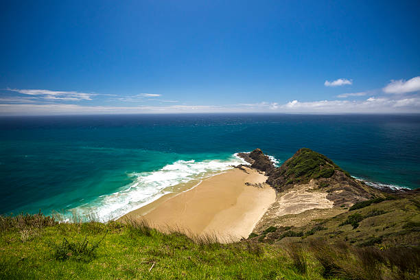 istock New Zealand Coutryside 509178138