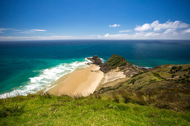 istock New Zealand Coutryside 509178200