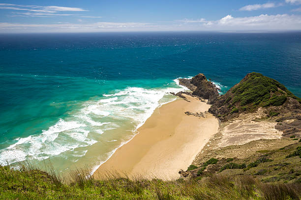 istock New Zealand Coutryside 509178274