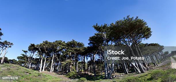 Sutro Baths Ruins San Francisco Golden Gate Recreation Area Stock Photo - Download Image Now