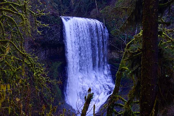 Middle North Falls North-Central Oregon's Cascade Range. willamette national forest stock pictures, royalty-free photos & images