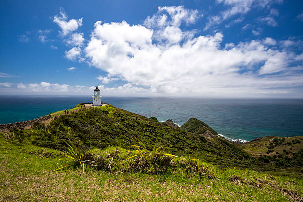 istock New Zealand Coutryside 509178512