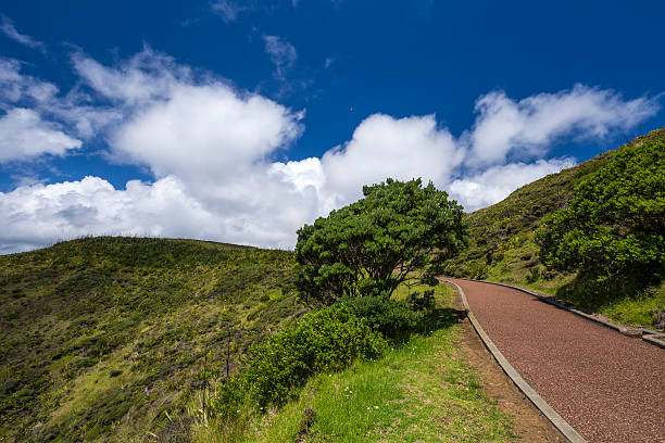 istock New Zealand Coutryside 509178802