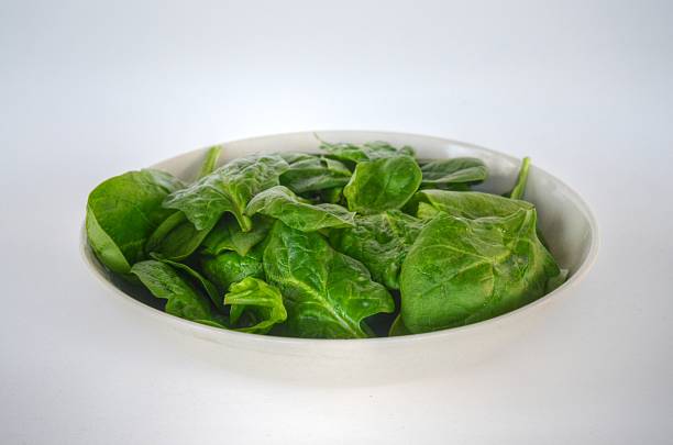 Spinach in White Bowl stock photo