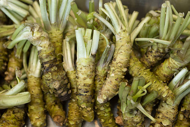 istock Raw wasabi of Japan 509181234