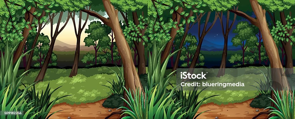 Forest scene daytime  nighttime Forest scene at daytime and nighttime illustration Backgrounds stock vector