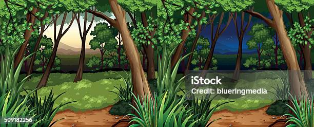 Forest Scene Daytime Nighttime Stock Illustration - Download Image Now - Backgrounds, Clip Art, Computer Graphic