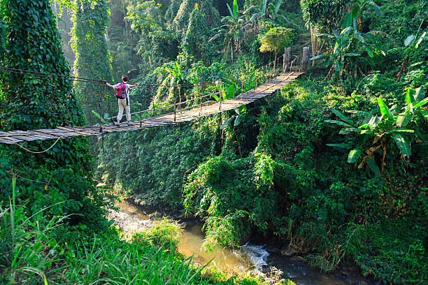 istock Woman with backpack on suspension bridge in rainforest 509183808