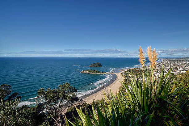 Mount Maunganui beach from the summit walking track. Mount Maunganui beach from the summit walking track. North Island, New Zealand tauranga new zealand stock pictures, royalty-free photos & images