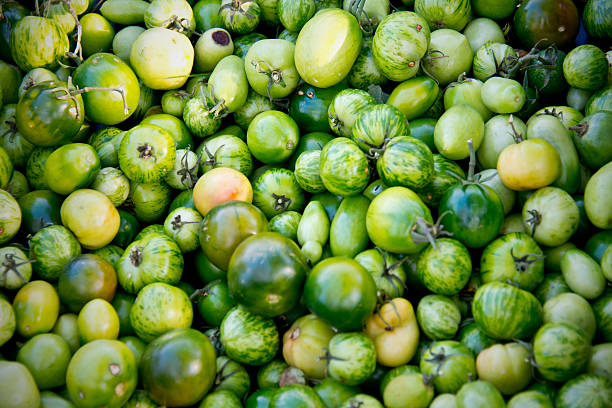 新鮮な緑のエアルームトマトの市場ケージ、さまざまなグリーンのゼブラ柄 - heirloom tomato zebra tomato tomato organic ストックフォトと画像