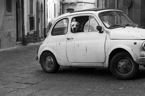 Grotty vintage car, dalmatian, and an old cobbled piazza. Shot in B&W in Sicily, Italy. Copy space available on the cobbles.