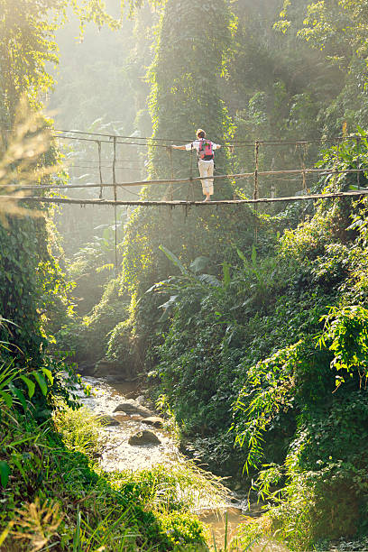 istock Woman with backpack on suspension bridge in rainforest 509185088