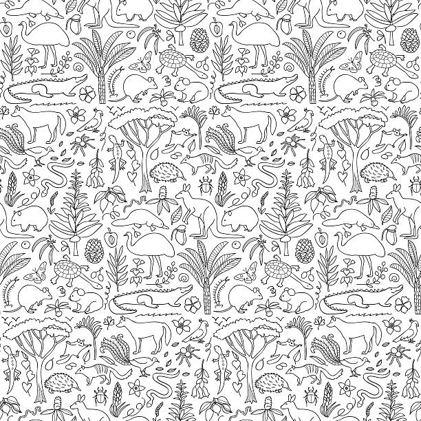 Hand drawn Australia seamless pattern Vector illustration of seamless pattern with Australian animals and plants australian forest stock illustrations