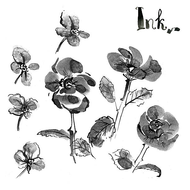 세트 of 잉크에도 손 드로잉 꽃, 오리엔탈 스타일을 선보입니다. 수묵-e - japanese culture single flower flower east stock illustrations