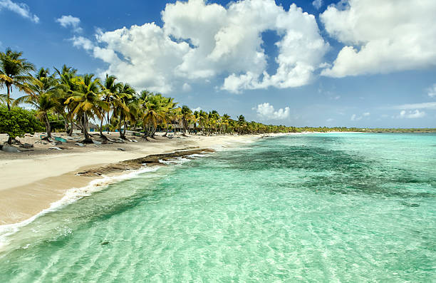 istock Beach in Dominican Republic 509189596